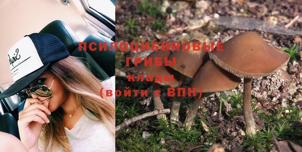 а пвп мука Аркадак