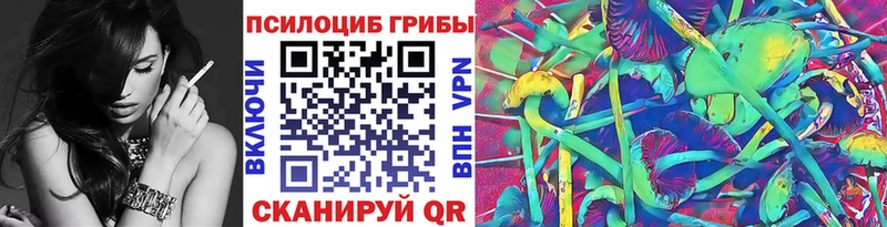 купить   Полярные Зори  Псилоцибиновые грибы прущие грибы 